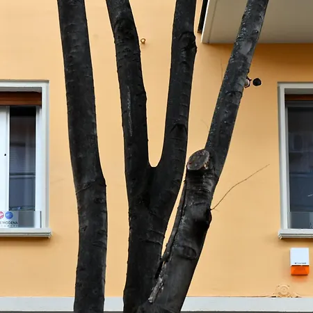 I Tesori Di - Malmusi *